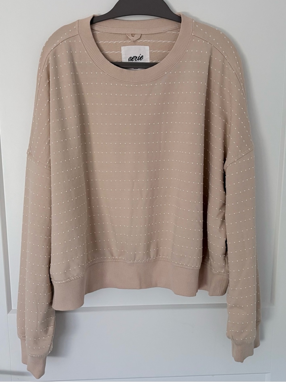 Aerie “Take It Easy” Muted Pink Embroidered Dot Crewneck Sweatshirt - Large